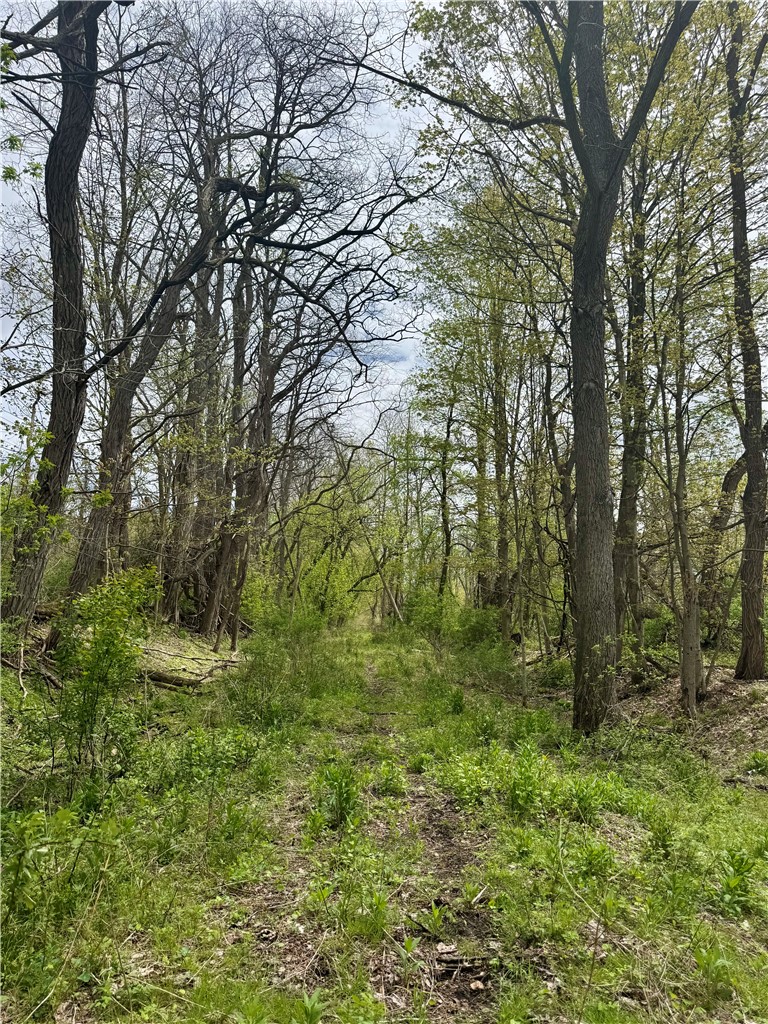 Hydesville Road Newark, NY 14513 - Photo 19 of 19