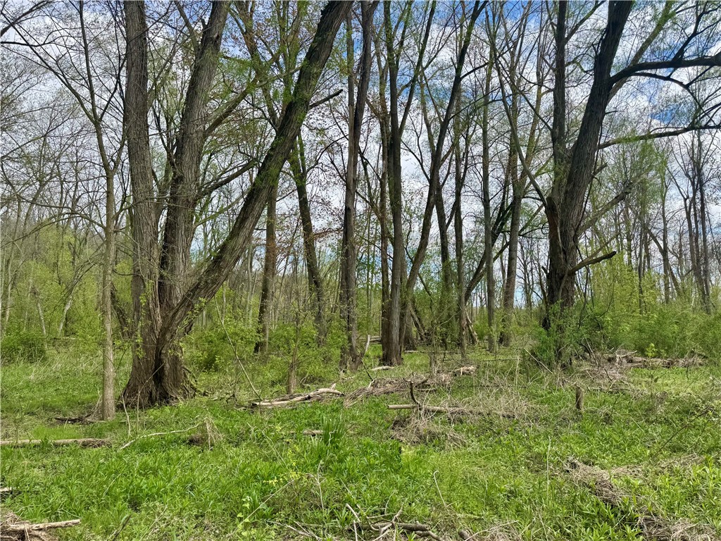 Hydesville Road Newark, NY 14513 - Photo 3 of 19