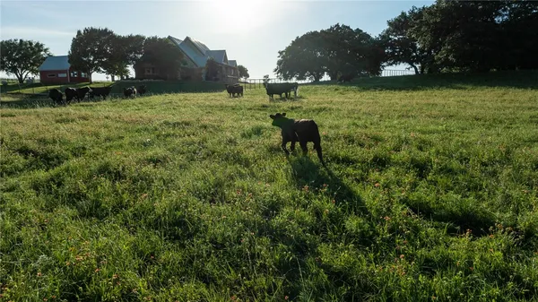 $4,495,000 | 16355 Highway 6, Valley Mills, TX 76689