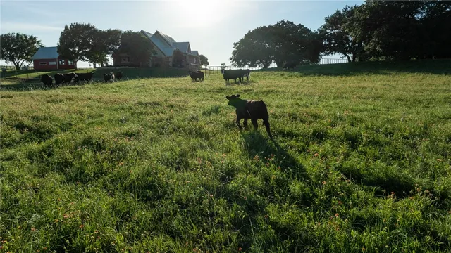 $4,495,000 | 16355 Highway 6, Valley Mills, TX 76689