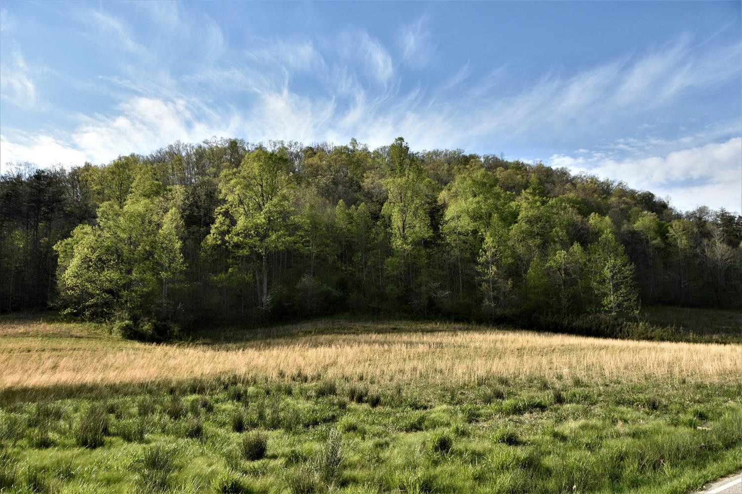 2002 Fitchburg Road Ravenna, KY 40472 - Photo 24 of 48 Listing Photo