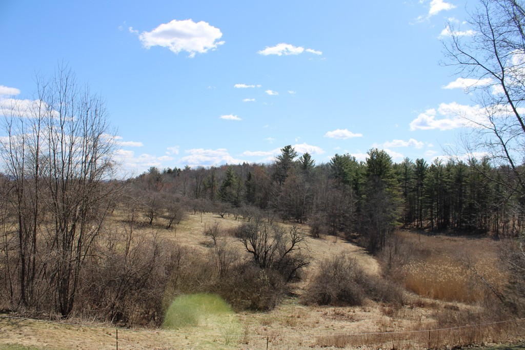 206 East Colrain Road Colrain, MA 01340 - Photo 26 of 27 a view of a dry yard with a tree