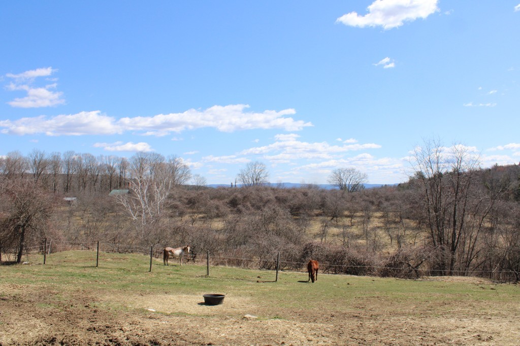 206 East Colrain Road Colrain, MA 01340 - Photo 27 of 27 a view of a green field