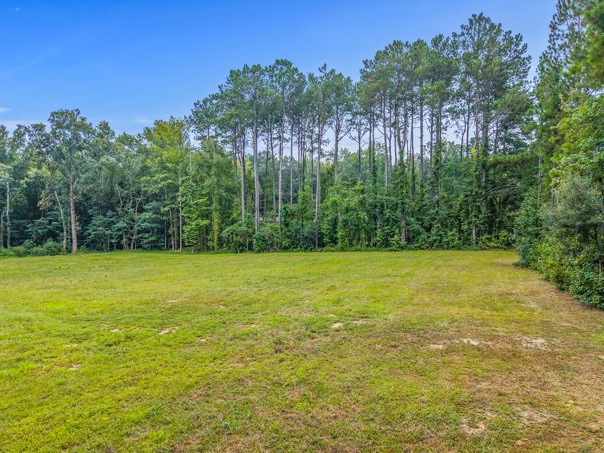 130 Marjorie Lane Ridgeville, SC 29472 - Photo 4 of 28 Cleared Land