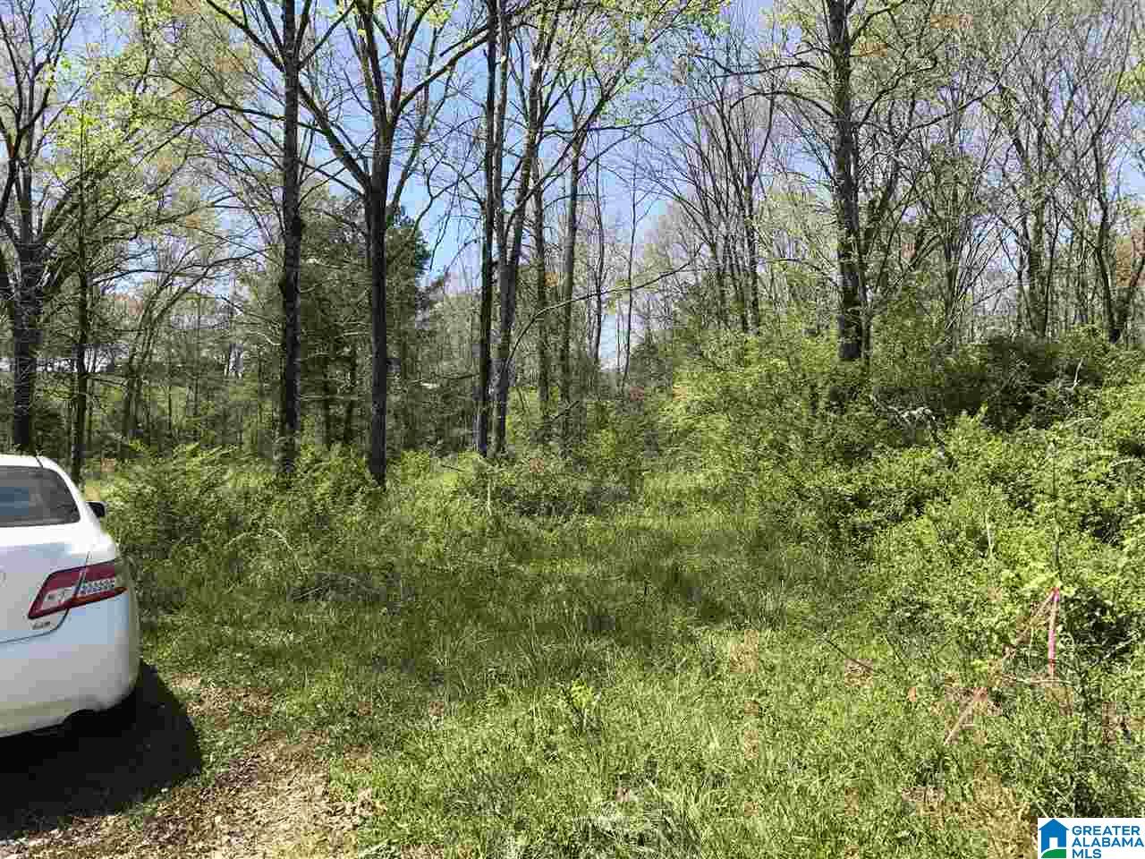 4133 Roy Webb Road, Unit 1 Jacksonville, AL 36265 - Photo 39 of 40