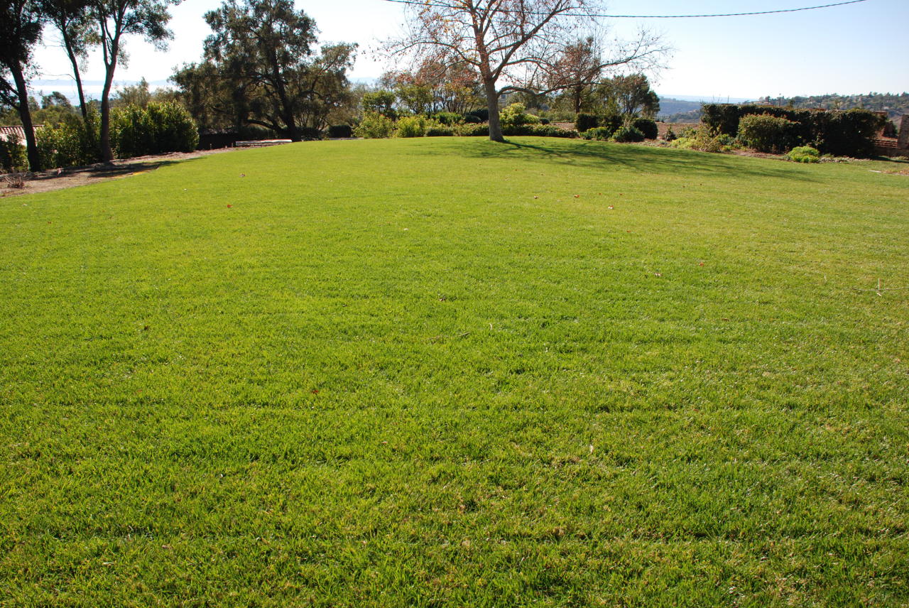 999 La Paz Road Montecito, CA 93108 - Photo 6 of 8 a view of a green yard