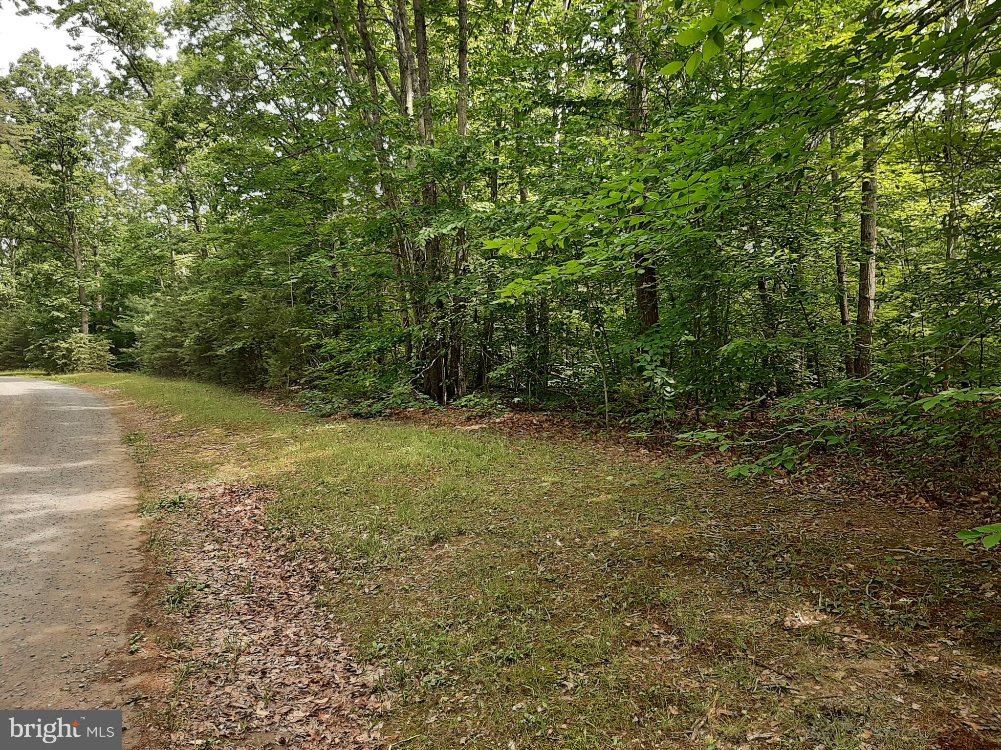 0 Rogers Ford Road Sumerduck, VA 22742 - Photo 1 of 1