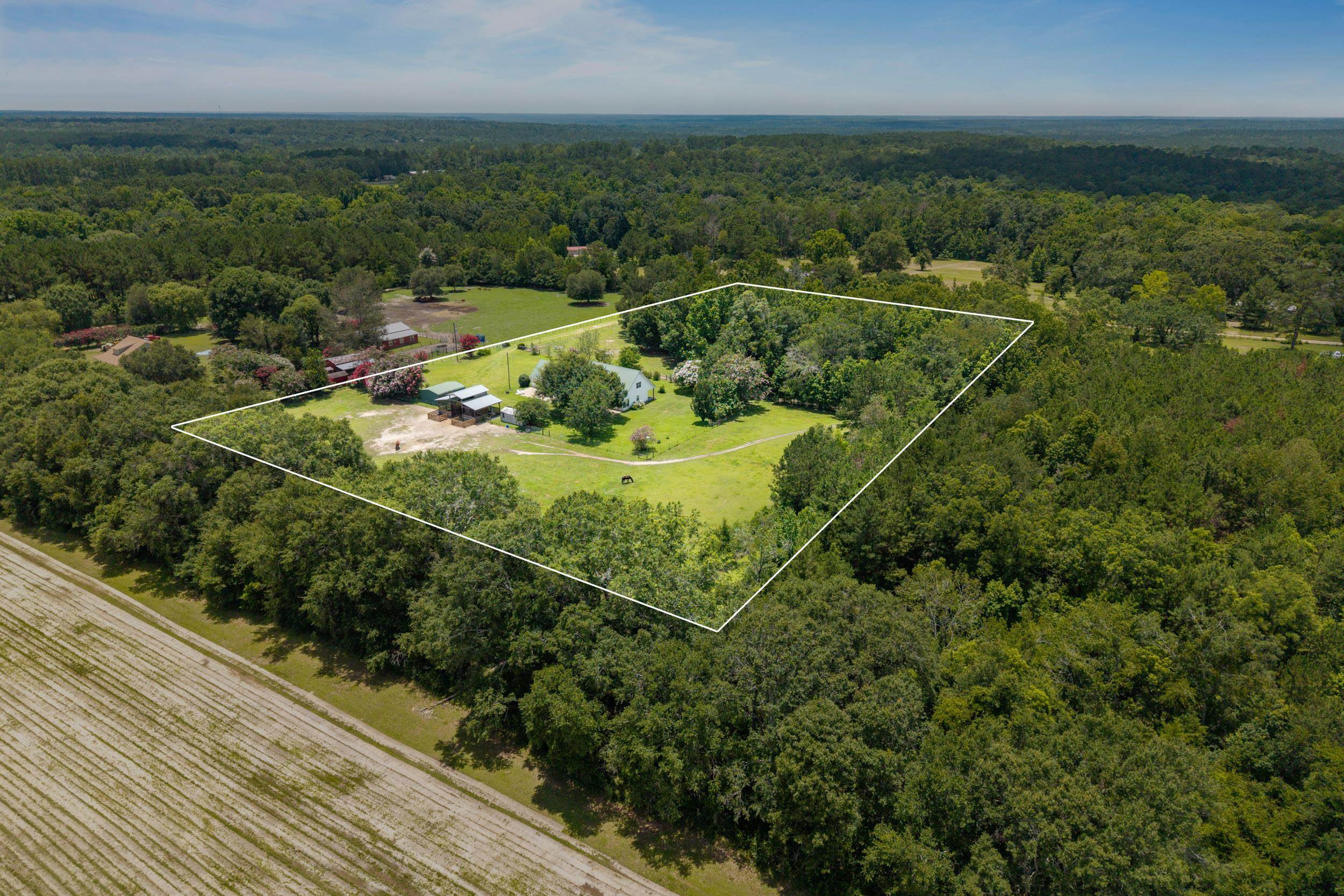 546 Backloop Road Havana, FL 32333 - Photo 55 of 67