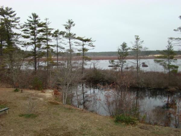 8 Cranberry Road Carver, MA 02330 - Photo 20 of 24 Gallery Image 20