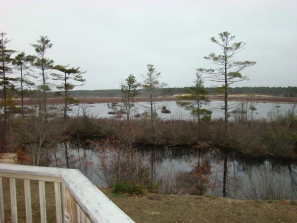 8 Cranberry Road Carver, MA 02330 - Photo 3 of 24 Gallery Image 3