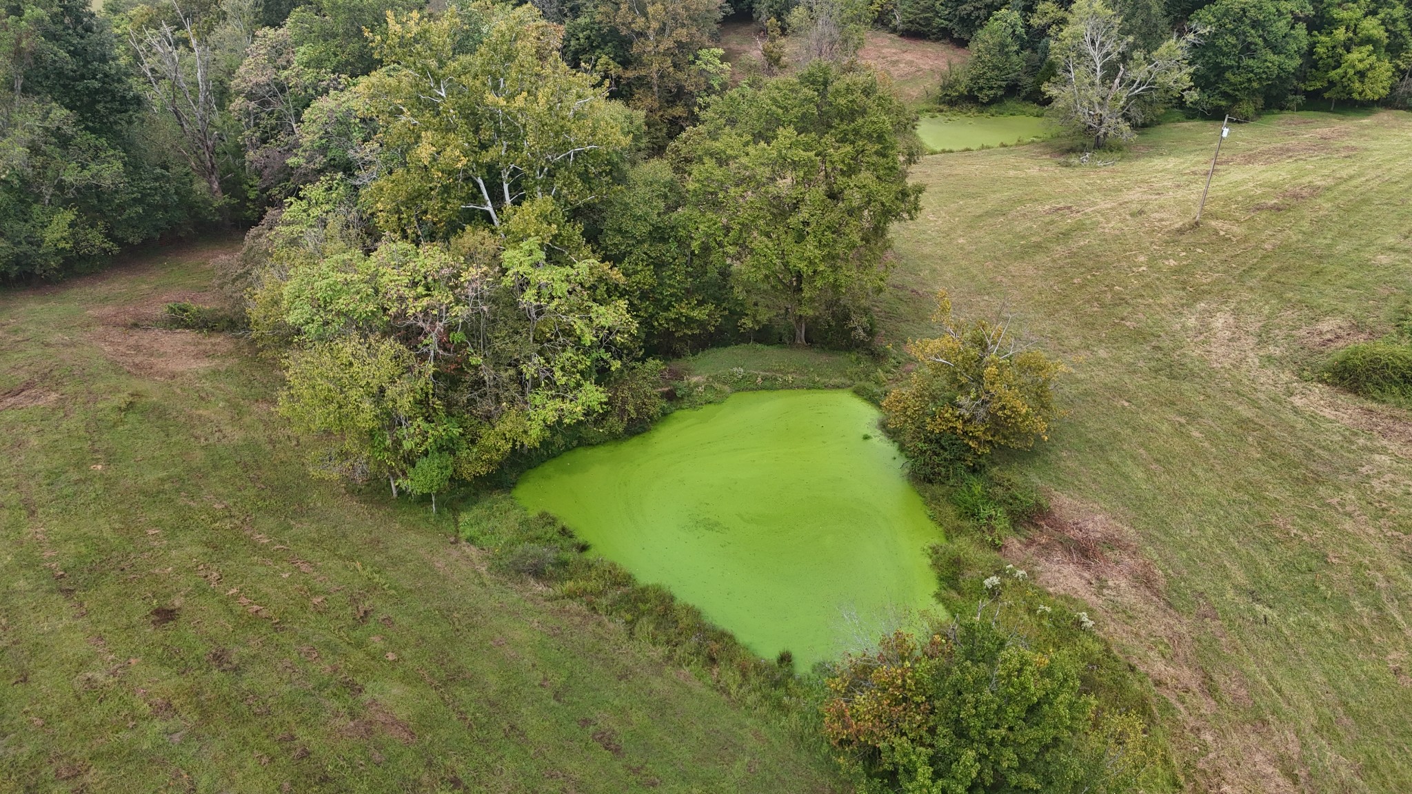 631 Bethany Road Red Boiling Springs, TN 37150 - Photo 25 of 51
