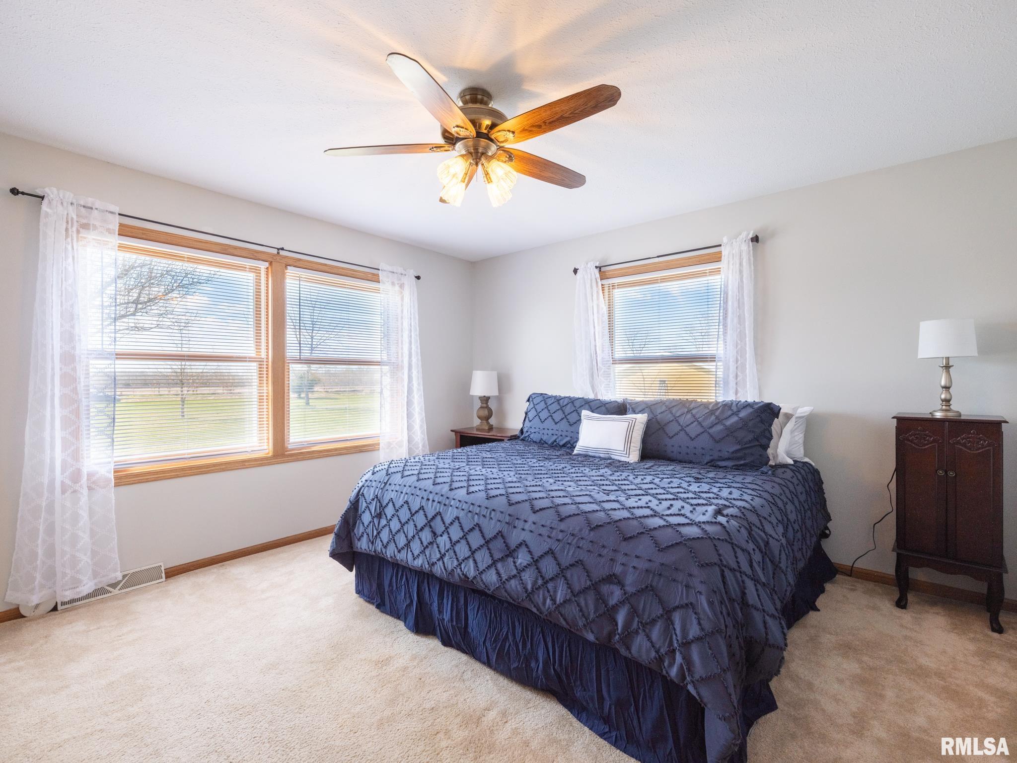 1126 North Quarry Road Trivoli, IL 61569 - Photo 28 of 66