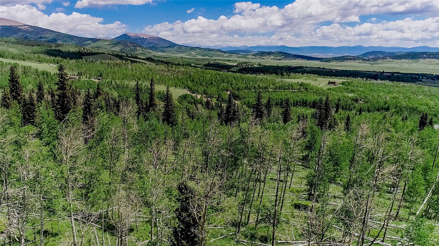 1047 Lumberjack Road Fairplay, CO 80440 - Photo 14 of 27 a view of a lush green forest with a houses