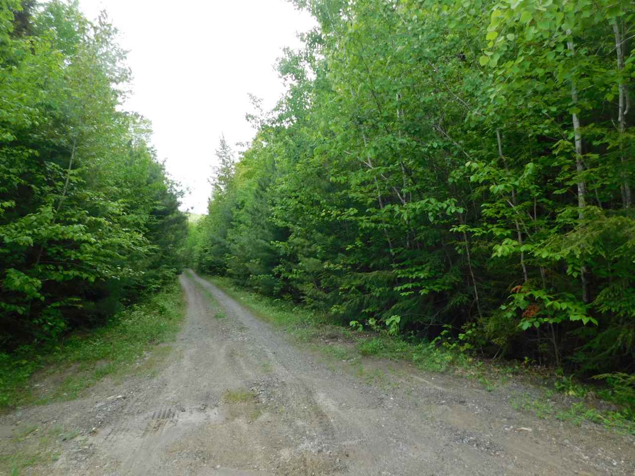 20 Eagles Nest Road, Unit 20 Warren, NH 03279 - Photo 1 of 7 Gallery Image 1