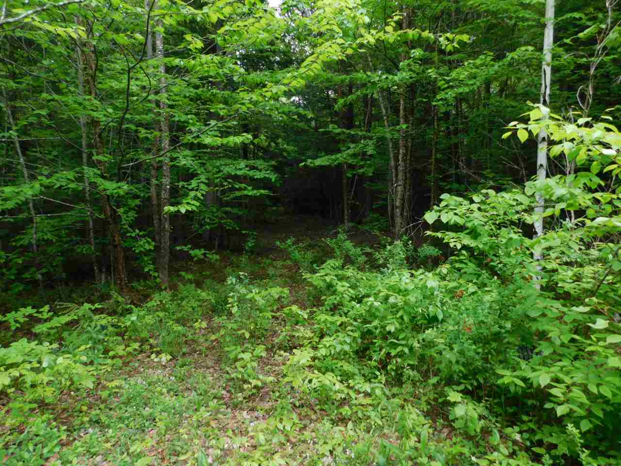 20 Eagles Nest Road, Unit 20 Warren, NH 03279 - Photo 5 of 7 Gallery Image 5