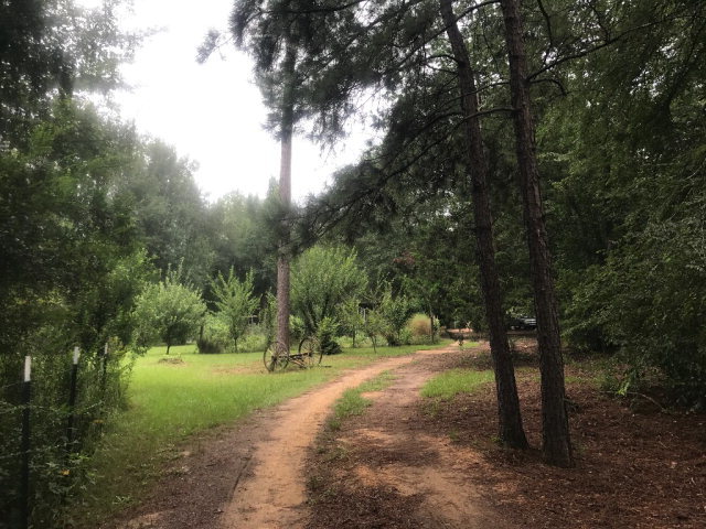 818 Forsling Road Reynolds, GA 31076 - Photo 2 of 35 a view of outdoor space with trees