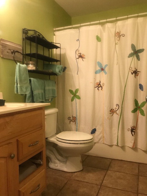 818 Forsling Road Reynolds, GA 31076 - Photo 13 of 35 a bathroom with a sink toilet and shower
