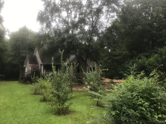 818 Forsling Road Reynolds, GA 31076 - Photo 24 of 35 a backyard of a house with lots of green space and garden