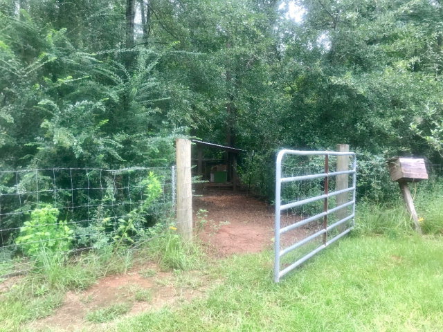 818 Forsling Road Reynolds, GA 31076 - Photo 32 of 35 a view of a wooden fence and trees