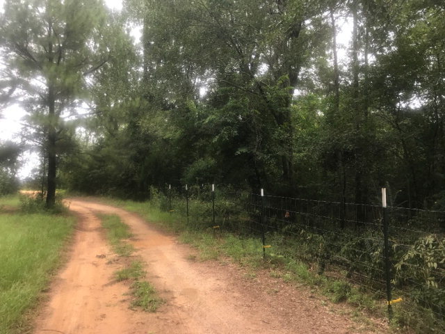 818 Forsling Road Reynolds, GA 31076 - Photo 34 of 35 a view of yard