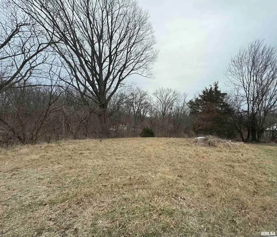 $6,000 | 603 Vaux Street, Zeigler, IL 62999