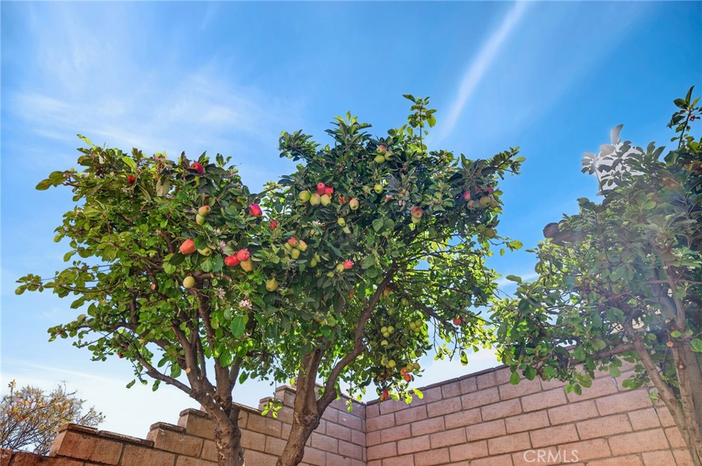 27699 Sagebrush Road Menifee, CA 92585 - Photo 44 of 53