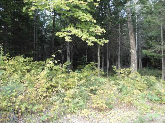 291 Winn Road Lee, ME 04455 - Photo 19 of 20 Land/Lot.