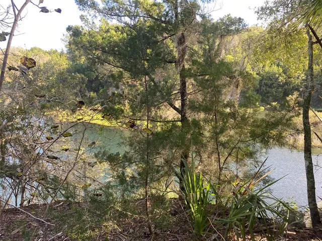 a view of mountain view with lots of trees
