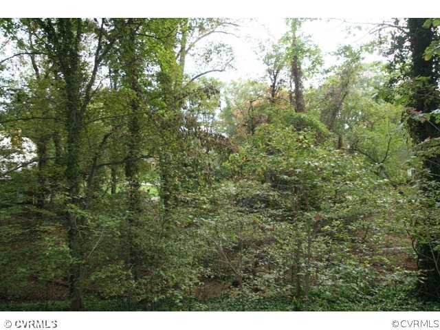 2409 Cromwell Road Richmond, VA 23235 - Photo 18 of 18 Other - View from backyard