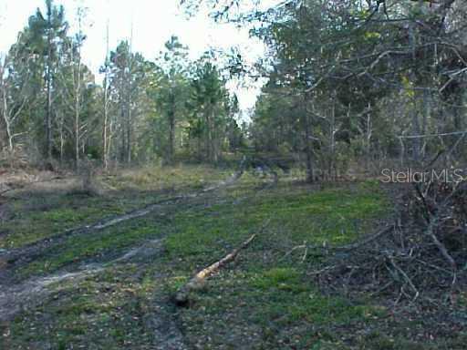 Carter Island Road Groveland, FL 34736 - Photo 1 of 1 Land
