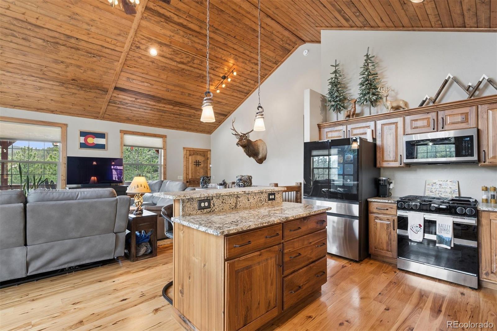 2894 County Road 43 Bailey, CO 80421 - Photo 13 of 40 a kitchen with a stove a sink and a refrigerator