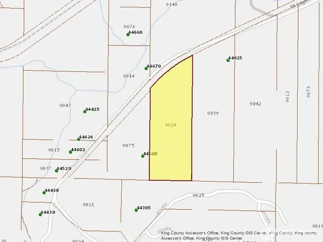 a view of a lush green forest