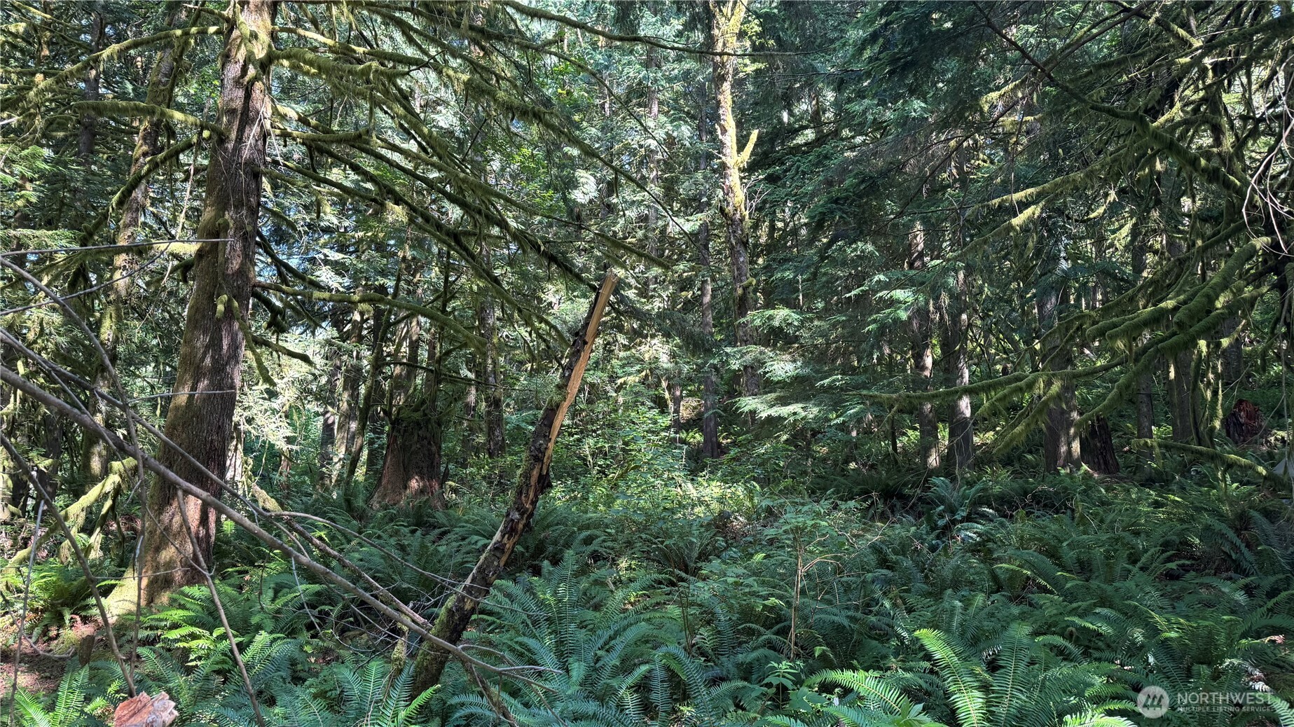 44701 Southeast Edgewick Road North Bend, WA 98045 - Photo 7 of 9