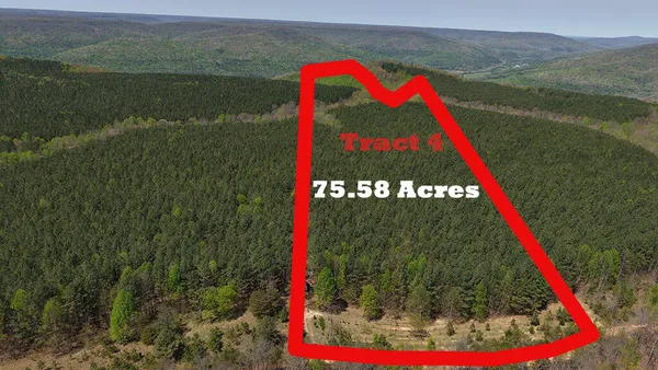 $302,000 | 0 Sherwood Road, Unit TRACT 4, Sherwood, TN 37376