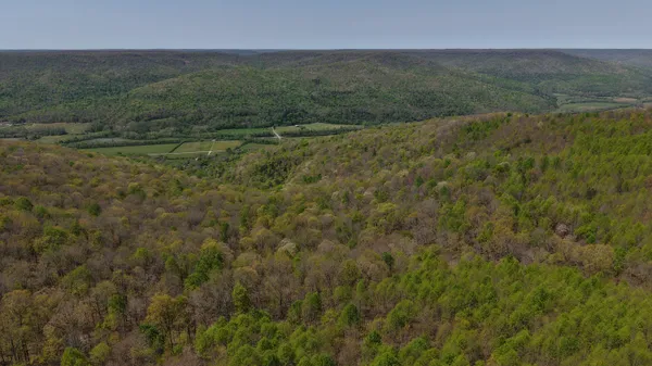 $275,000 | 0 Sherwood Road, Unit TRACT 4, Sherwood, TN 37376