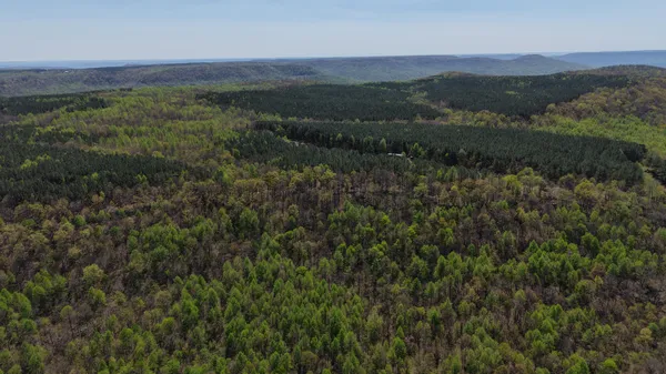$275,000 | 0 Sherwood Road, Unit TRACT 4, Sherwood, TN 37376