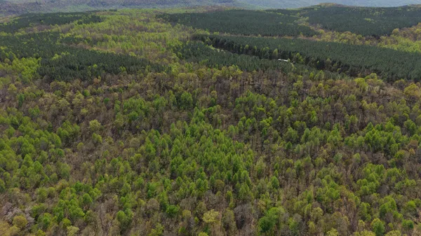 $275,000 | 0 Sherwood Road, Unit TRACT 4, Sherwood, TN 37376