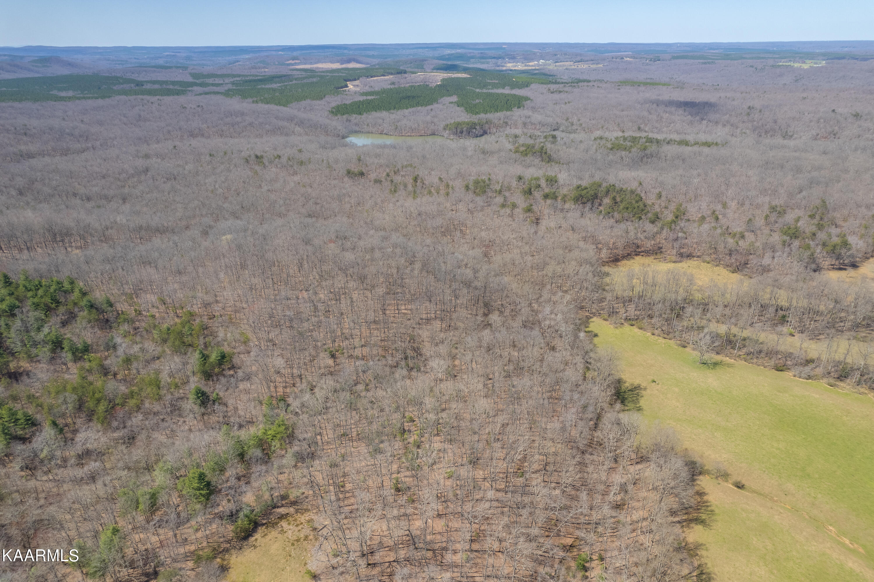 Lantana Firetower Road Crossville, TN 38572 - Photo 15 of 23 Lantana Firetower - Aerial-102