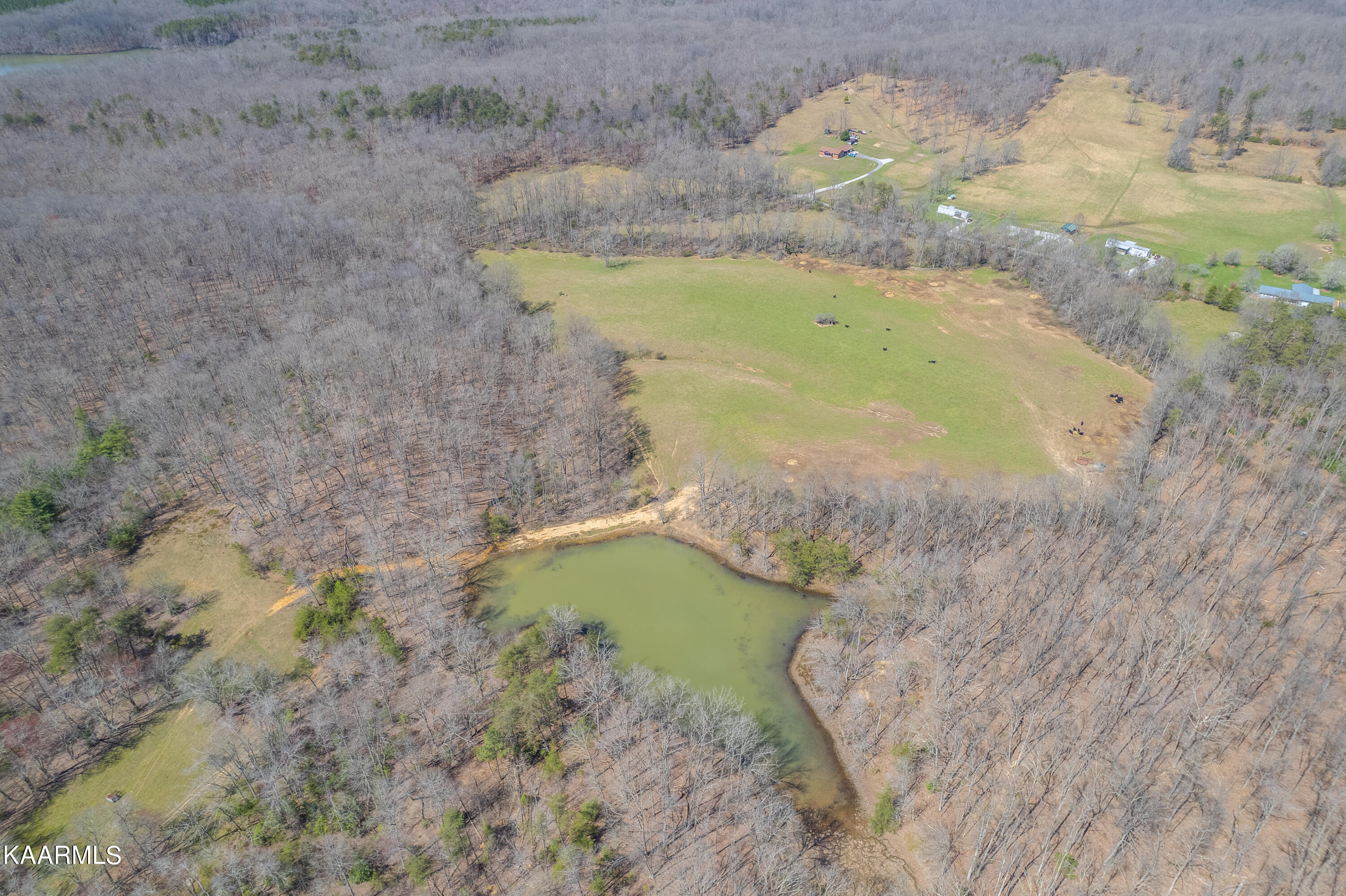 Lantana Firetower Road Crossville, TN 38572 - Photo 17 of 23 Lantana Firetower - Aerial-103