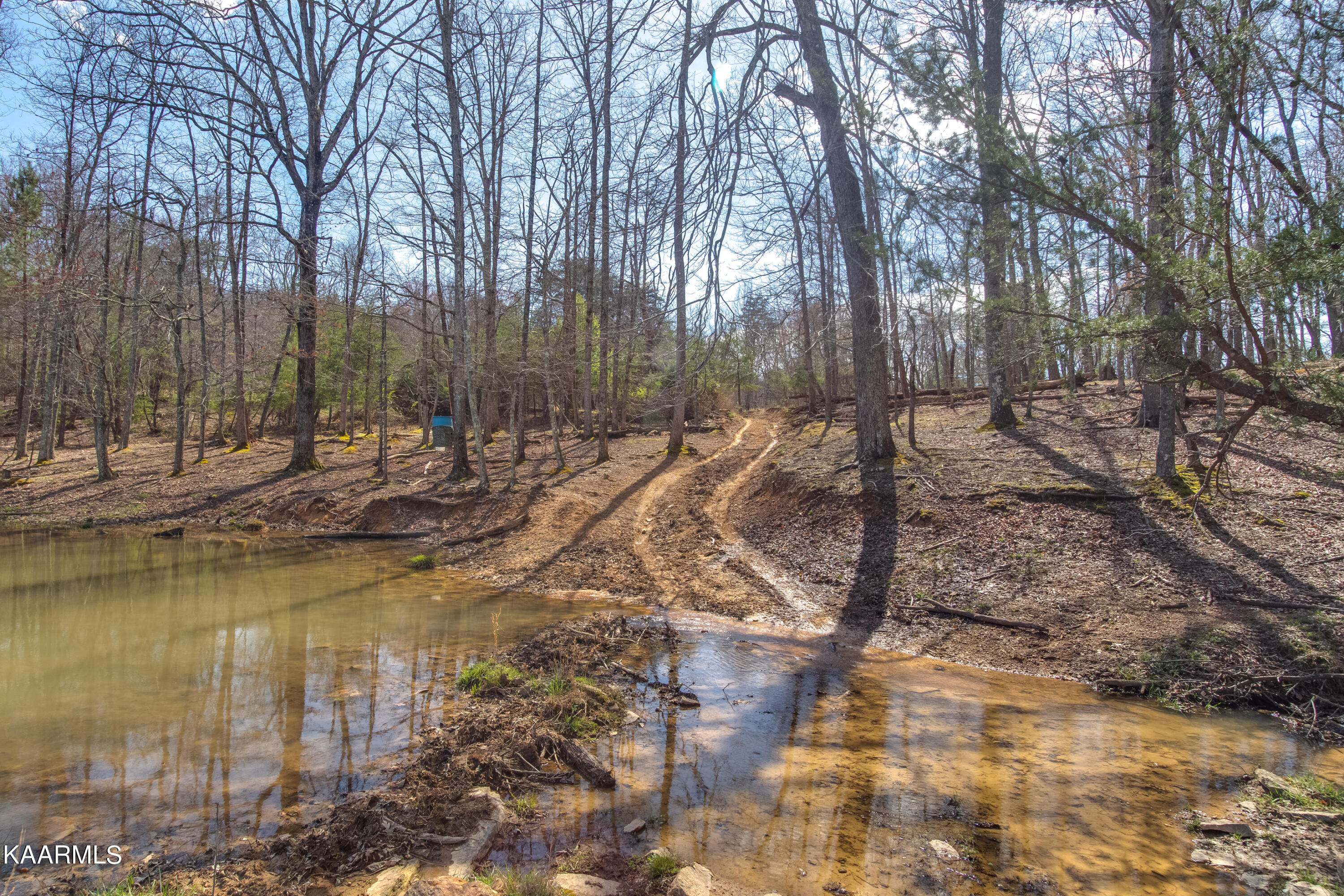 Lantana Firetower Road Crossville, TN 38572 - Photo 19 of 23 Lantana Firetower - Ground-111