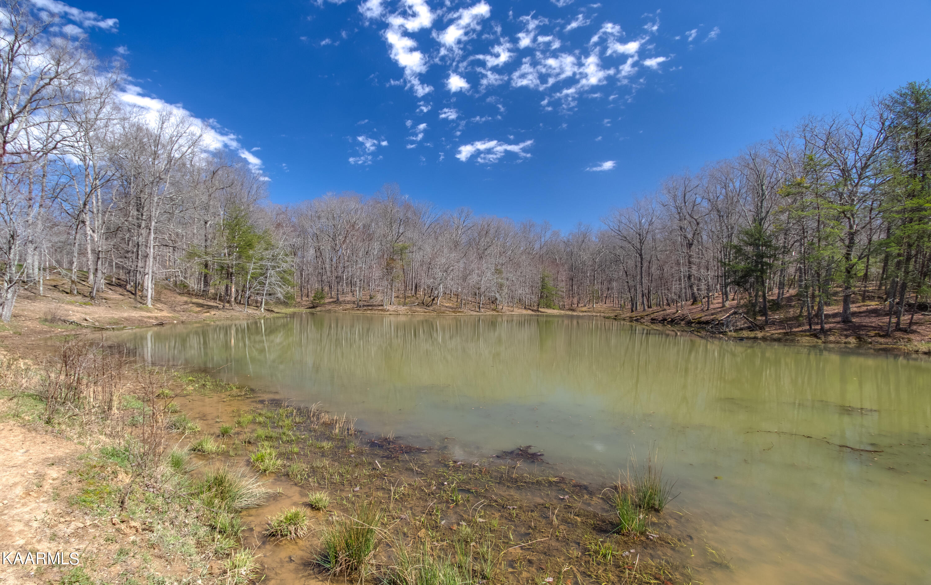 Lantana Firetower Road Crossville, TN 38572 - Photo 20 of 23 Lantana Firetower - Ground-110