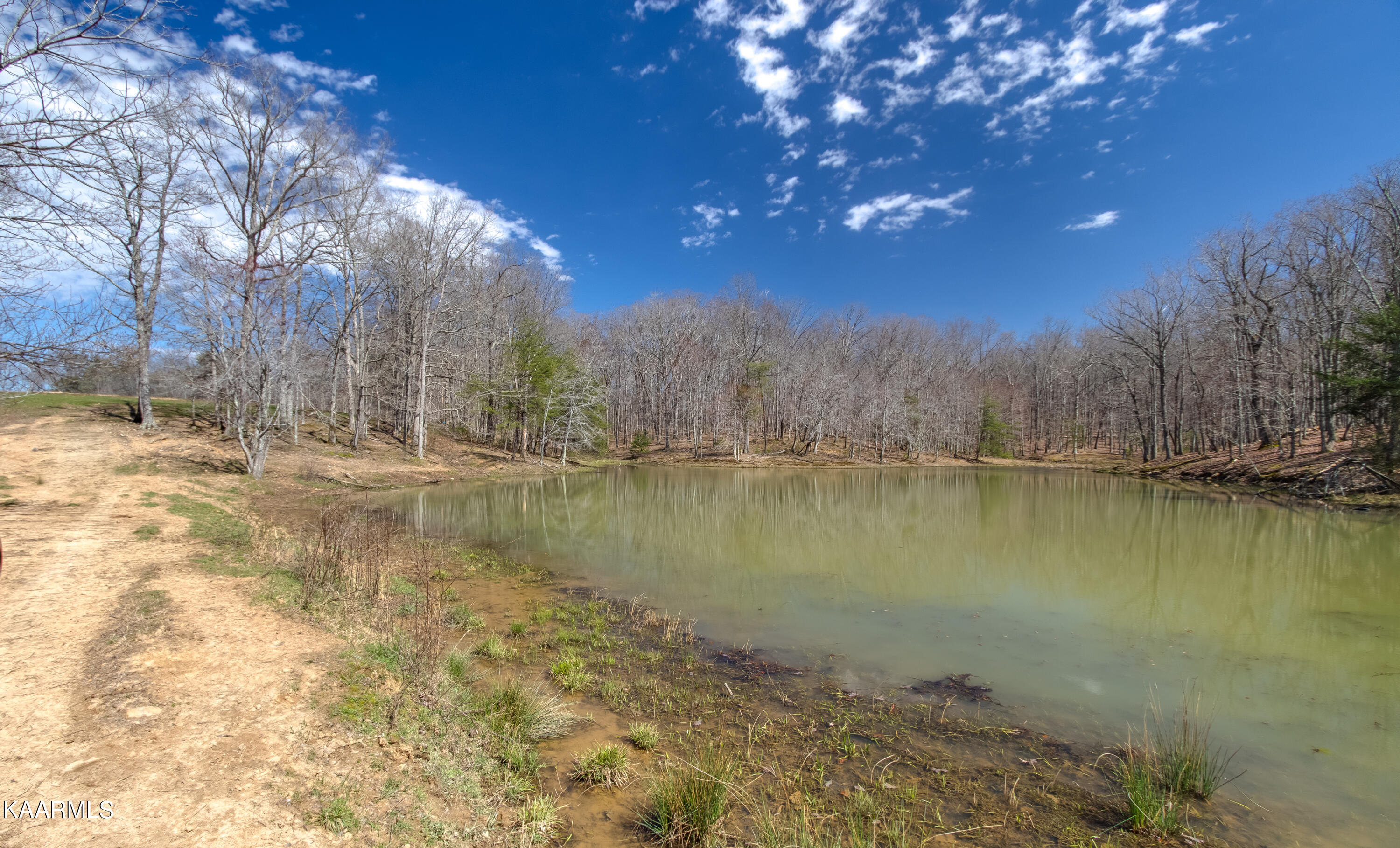 Lantana Firetower Road Crossville, TN 38572 - Photo 21 of 23 Lantana Firetower - Ground-109