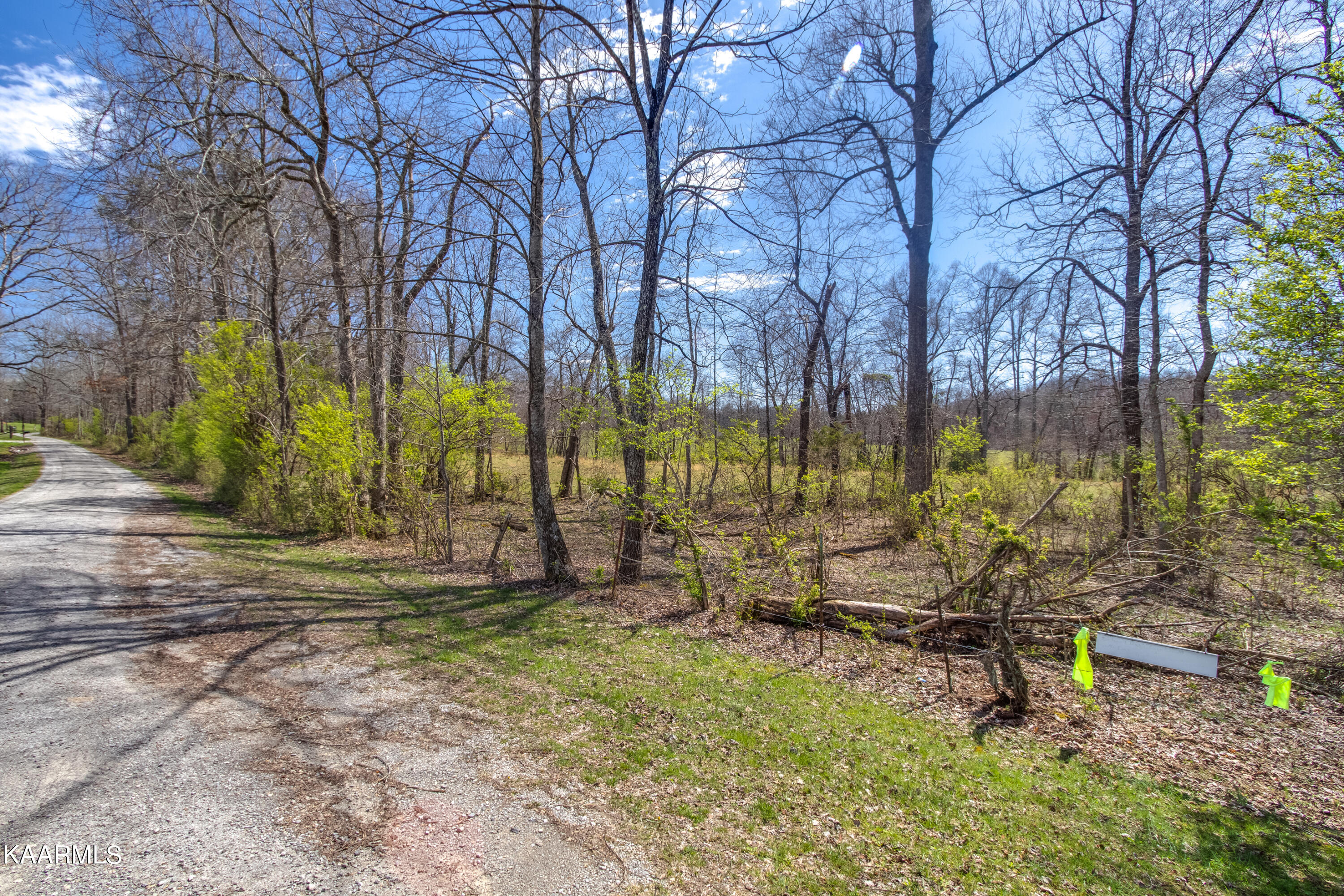Lantana Firetower Road Crossville, TN 38572 - Photo 3 of 23 Lantana Firetower - Ground-100
