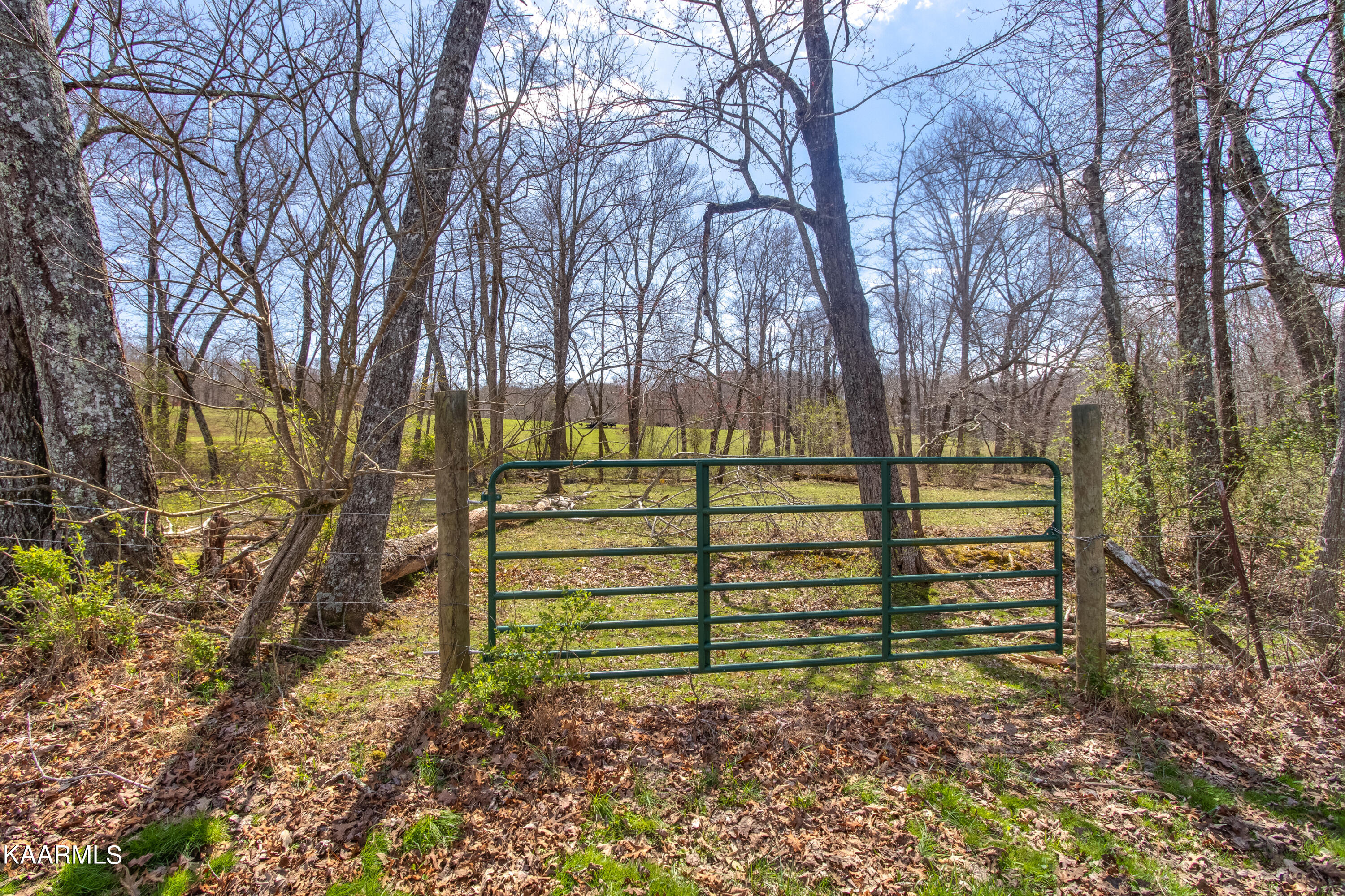 Lantana Firetower Road Crossville, TN 38572 - Photo 5 of 23 Lantana Firetower - Ground-102