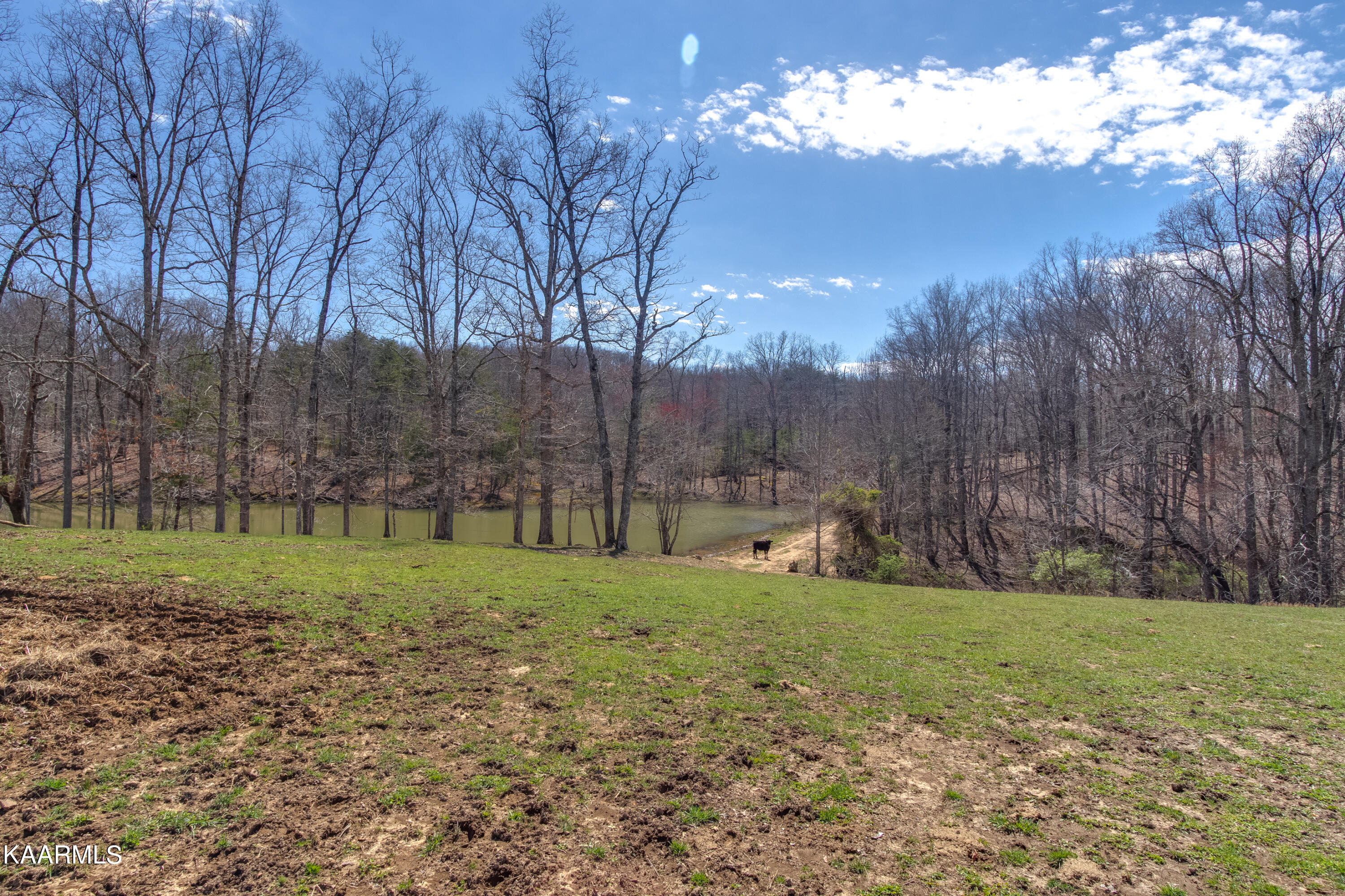 Lantana Firetower Road Crossville, TN 38572 - Photo 10 of 23 Lantana Firetower - Ground-104