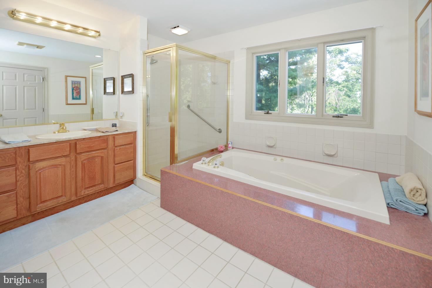 18039 Raven Rocks Road Bluemont, VA 20135 - Photo 12 of 24 Bath (Master)