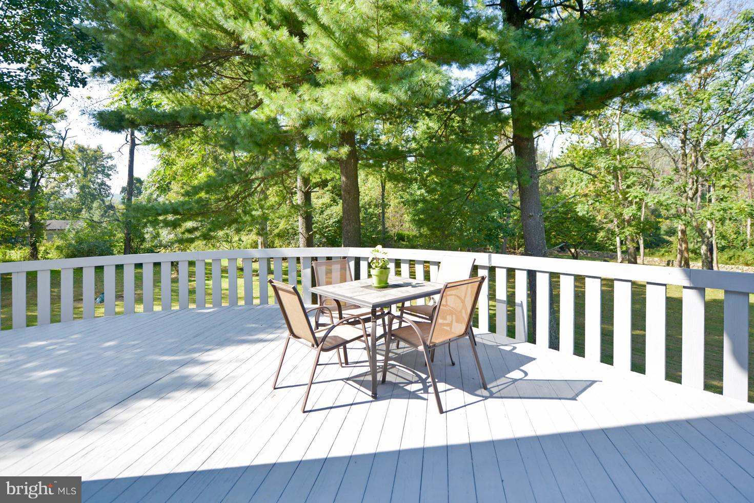 18039 Raven Rocks Road Bluemont, VA 20135 - Photo 19 of 24 Deck