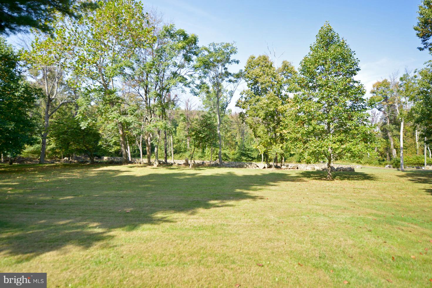 18039 Raven Rocks Road Bluemont, VA 20135 - Photo 20 of 24 Back yard