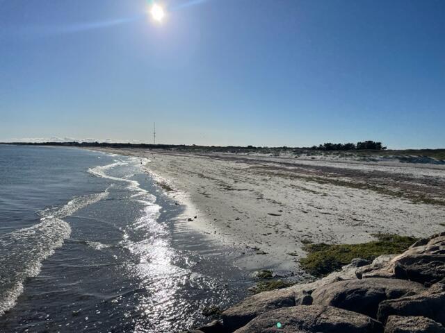 205 Higgins Crowell Road, Unit 3 West Yarmouth, MA 02673 - Photo 16 of 16 Seagull2