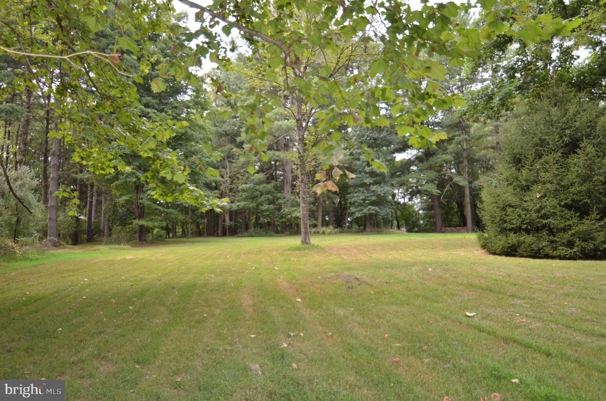 Bolyn Road Purcellville, VA 20132 - Photo 14 of 15 View from back toward front with pine trees
